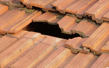 roof repair Whigstreet, Angus